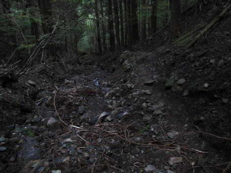 20171012hike (294)